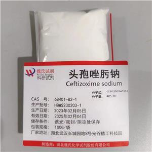 头孢唑肟钠,ceftizoxime sodium