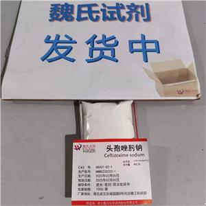 頭孢唑肟鈉,ceftizoxime sodium