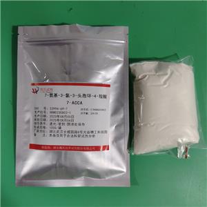 7-氨基-3-氯-3-头孢环-4-羧酸,7-Amino-3-Chloro Cephalosporanic Acid