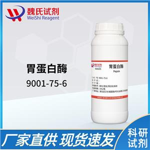 胃蛋白酶-9001-75-6