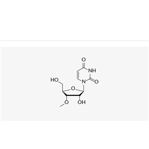 5-Iodo-2'-methoxyuridine