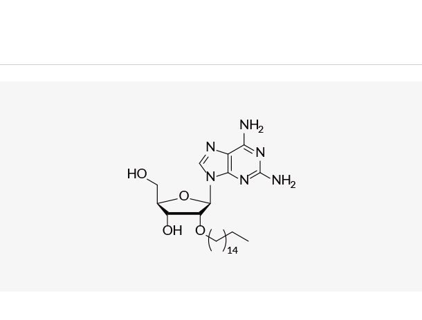 2'-O-Hexadecyl-2-aminoadenosine,2'-O-Hexadecyl-2-aminoadenosine