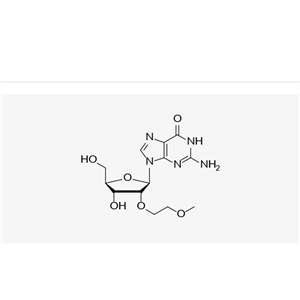 2'-O-Methoxyethylguanosine