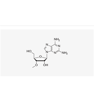 2-Amino-3'-O-methyladenosine