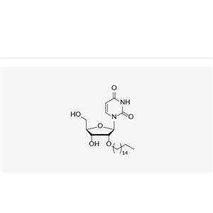 2'-O-Hexadecyl-uridine