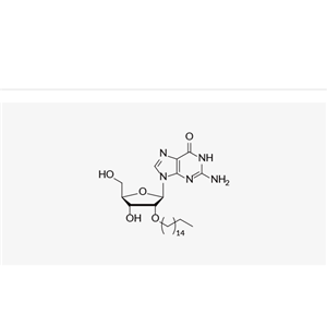 2'-O-Hexadecyl-guanosine