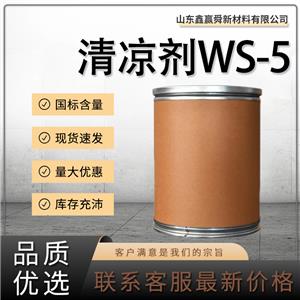  清凉剂WS-5 香精香料 规格齐全 货源稳定 68489-14-5 凉味剂 