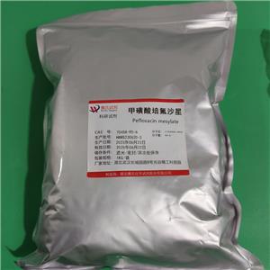 甲磺酸左氧氟沙星,Levofloxacin Mesylate