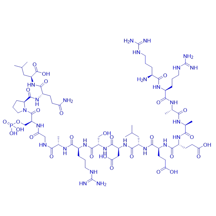 糖原合成酶激酶-3 (GSK-3) 底物多肽2B-(SP) (TFA),2B-(SP)