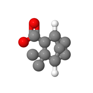 3,3-Dimethyl-bicyclo(1.2.2)heptan-carbonsaeure-(2exo)