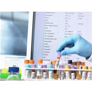 药物试验期间试验用药品的安全性评估