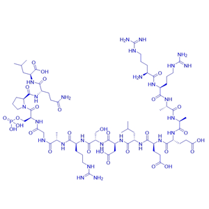 糖原合成酶激酶-3 (GSK-3) 底物多肽2B-(SP) (TFA)/186901-17-7/2B-(SP)