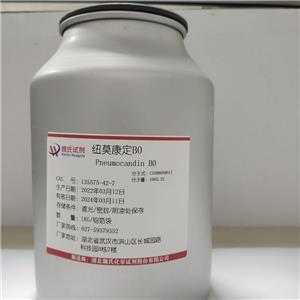 紐莫康定B0,Pneumocandin B0