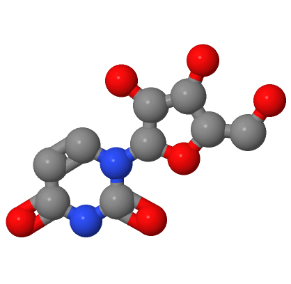 尿苷,Uridine