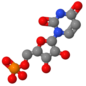 58-97-9；尿苷5-单磷酸