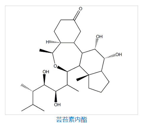 芸苔素内酯,Brassinolide