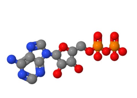二磷酸腺苷；5-腺苷二磷酸,ADP