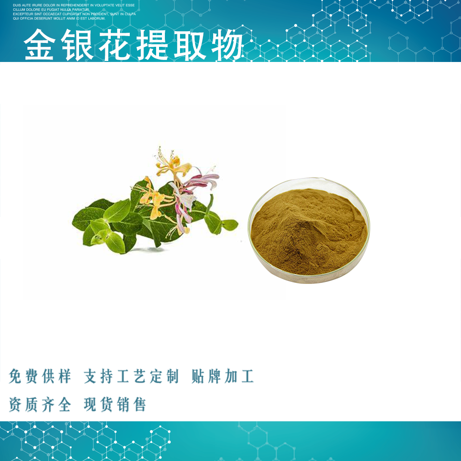 金银花提取物,lonicera caprifolium extract