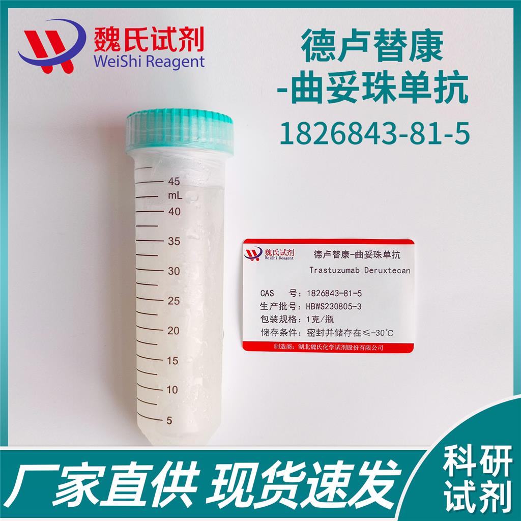 德卢替康-曲妥珠单抗,Trastuzumab Deruxtecan