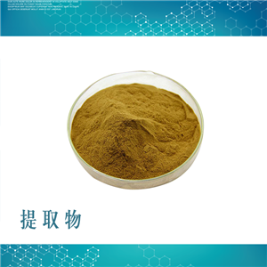 金银花提取物,lonicera caprifolium extract