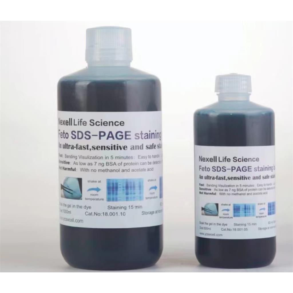 Feto SDS-PAGE考馬斯亮藍(lán)蛋白膠極速染色液 無需脫色5分鐘顯色