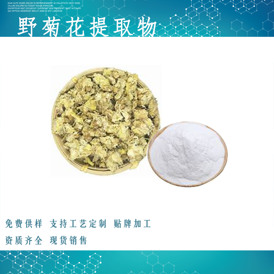 野菊花提取物,Wild chrysanthemum flower extract