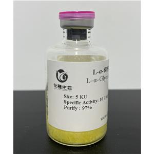 甘油-3-磷酸氧化酶,L-a-Glycerophosphate Oxidase