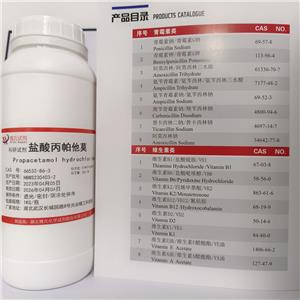 盐酸丙帕他莫,Propacetamol