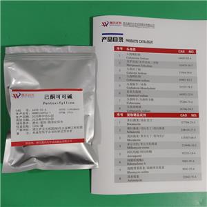 己酮可可堿,Pentoxifylline