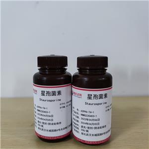 星孢菌素,Staurosporine