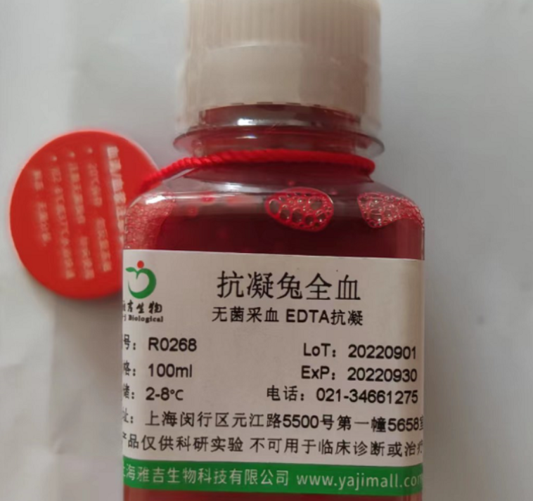 人胆管细胞型肝癌细胞hccc9810,hccc9810