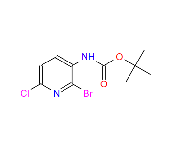 N-(2-溴-6-氯-3-吡啶基)氨基甲酸叔丁酯,tert-butyl 2-broMo-6-chloropyridin-3-ylcarbaMate