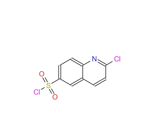 2-氯喹啉-6-磺酰氯,2-Chloro-6-quinolinesulfonyl chloride