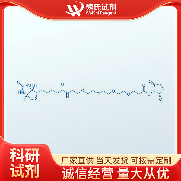 生物素-四聚乙二醇-NHS 酯,(+)-Biotin-PEG4-NHS Ester