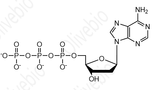 2’-脱氧腺苷-5’-三磷酸二钠盐,dATP