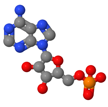 腺苷酸,Adenosine 5'-monophosphate