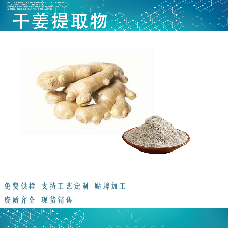 生姜提取物,GINGER extract