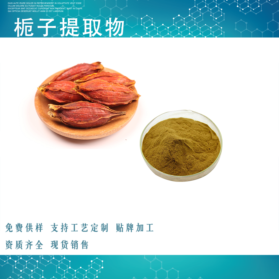 栀子提取物,Gardeniae Fructus extract