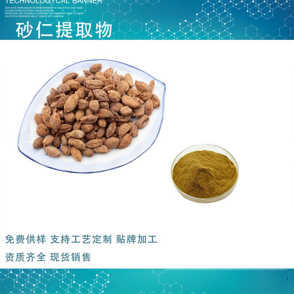 砂仁提取物,Amomum villosum Lour extract