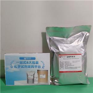 盐酸甲氧氯普胺；盐酸胃复安,Metoclopramide hydrochloride