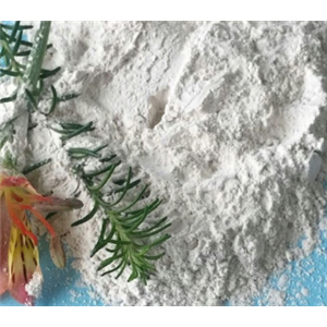 黄芪胶,Gum tragacanth powder