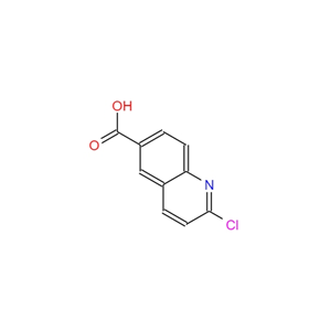 2-氯喹啉-6-羧酸