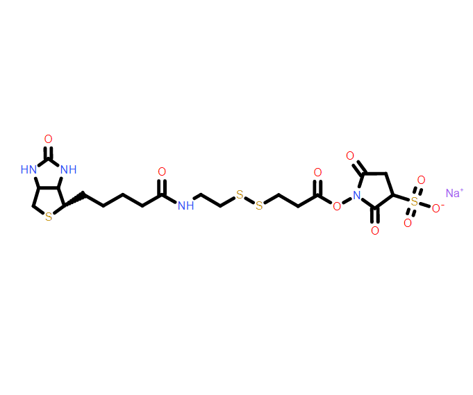 2,5-二氧代-1-((3-((2-(5-((3aS,4S,6aR)-2-氧代六氢-1H-噻吩并[3,4-d]咪唑-4-基)戊酰胺基)乙基)二硫烷基)丙酰基)氧基)吡咯烷-3-磺酸钠盐,Sulfo-NHS-SS-Biotin sodium;Sodium 2,5-dioxo-1-((3-((2-(5-((3aS,4S,6aR)-2-oxohexahydro-1H-thieno[3,4-d]imidazol-4-yl)pentanamido)ethyl)disulfaneyl)propanoyl)oxy)pyrrolidine-3-sulfonate