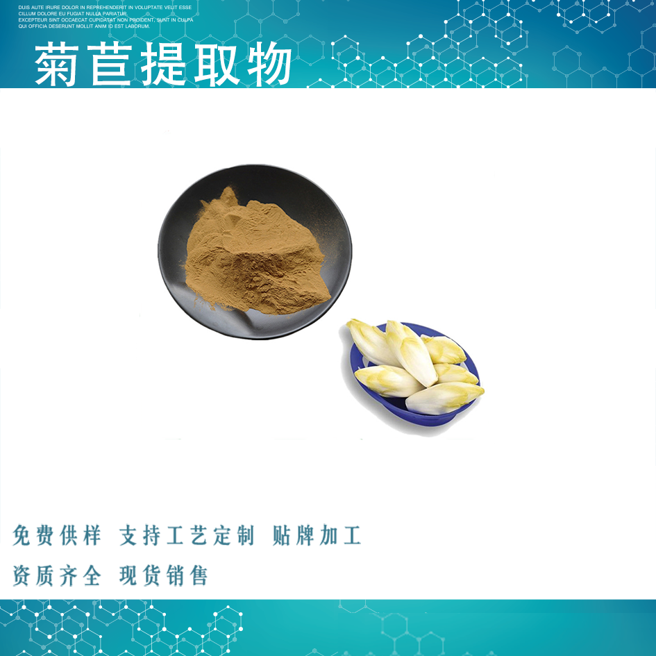 菊苣提取物,Chicory Extract