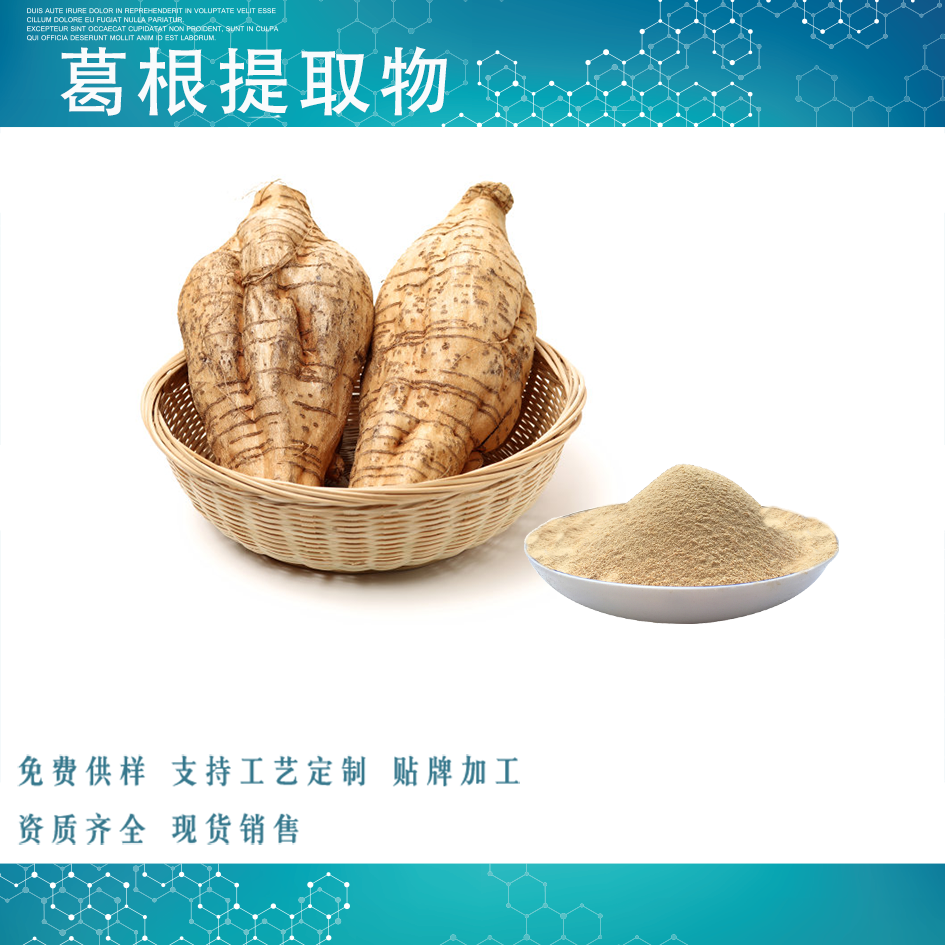 葛根提取物,PUERARIAE LOBATAE RADIX Extract