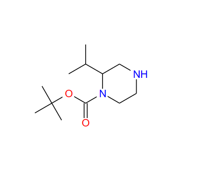 1-BOC-2-异丙基哌嗪,1-N-Boc-2-isopropylpiperazine