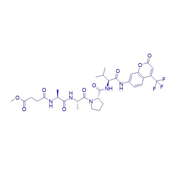 中性粒細胞彈性蛋白酶底物多肽MeOSuc-Ala-Ala-Pro-Val-AFC,MeOSuc-AAPV-AFC