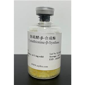 胱硫醚-β-合成酶,Cystathionine-β-synthase