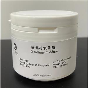 黃嘌呤氧化酶,Xanthine  Oxidase