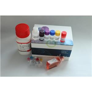  血液基因组DNA小量提取试剂盒（0.1-1ML) 